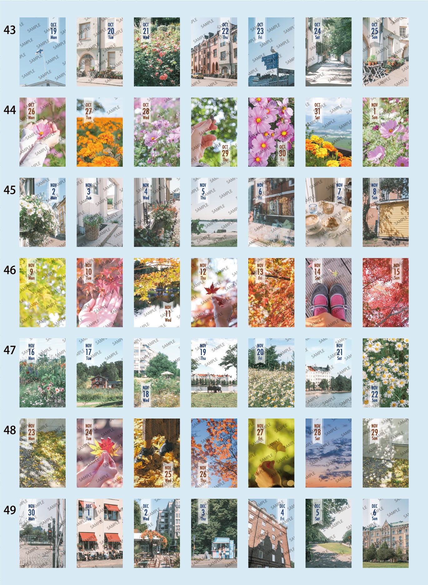 himekuri2026年度版 – himekuriマルシェ